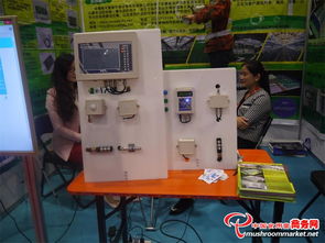 科技賦能 味蕾綻放——3000多項食用菌產品技術亮相青島會展，計量技術服務助力產業升級